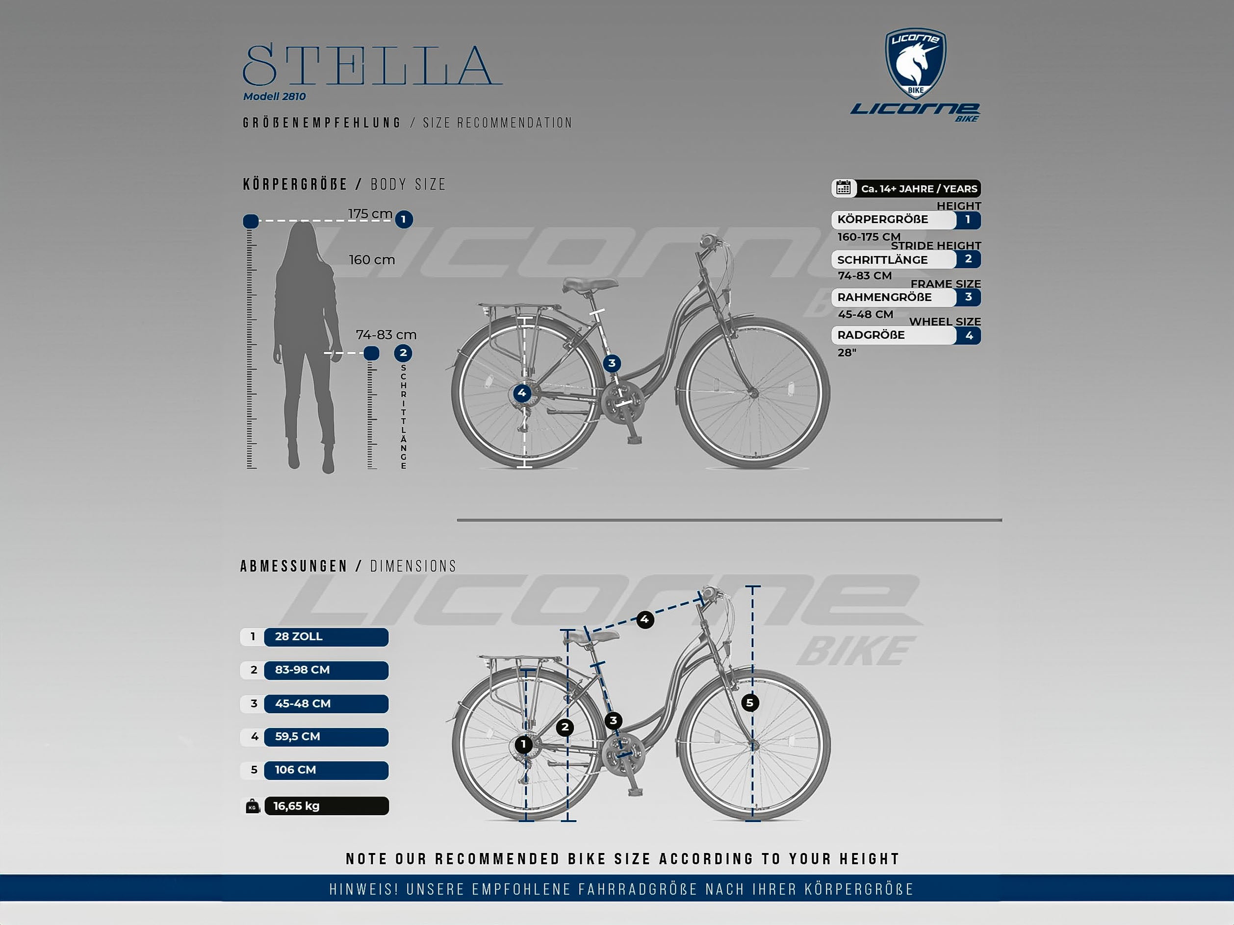 STELLA - Black